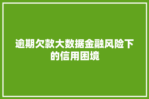 逾期欠款大数据金融风险下的信用困境