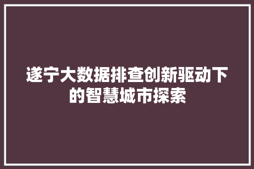 遂宁大数据排查创新驱动下的智慧城市探索 WordPress教程