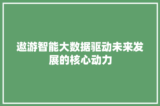 遨游智能大数据驱动未来发展的核心动力 WordPress教程