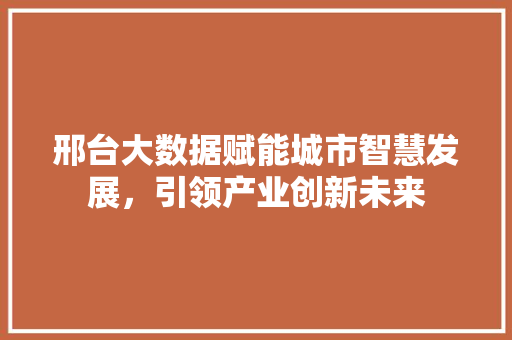 邢台大数据赋能城市智慧发展，引领产业创新未来 Web前端