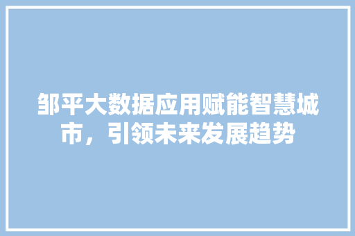 邹平大数据应用赋能智慧城市，引领未来发展趋势 SEO教程