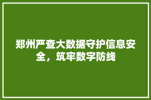 郑州严查大数据守护信息安全，筑牢数字防线