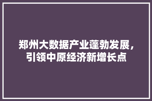郑州大数据产业蓬勃发展，引领中原经济新增长点