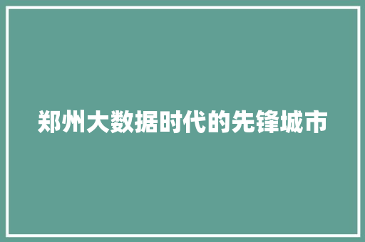 郑州大数据时代的先锋城市 服务器/数据库