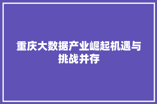重庆大数据产业崛起机遇与挑战并存