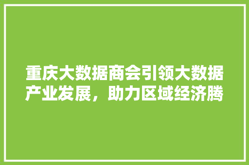 重庆大数据商会引领大数据产业发展，助力区域经济腾飞