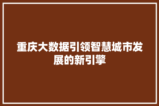 重庆大数据引领智慧城市发展的新引擎 建站教程