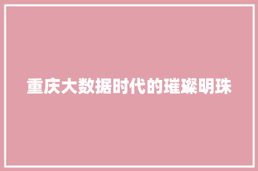 重庆大数据时代的璀璨明珠