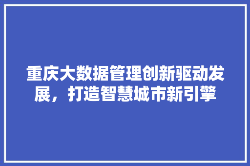 重庆大数据管理创新驱动发展，打造智慧城市新引擎
