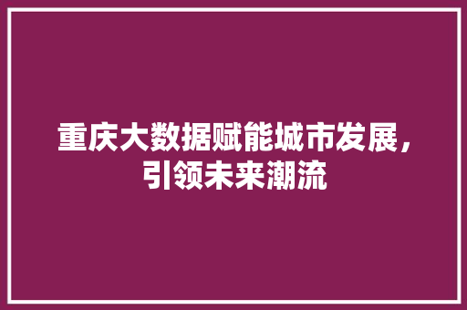 重庆大数据赋能城市发展，引领未来潮流