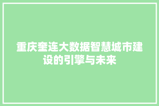 重庆奎连大数据智慧城市建设的引擎与未来