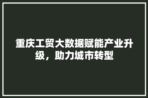 重庆工贸大数据赋能产业升级，助力城市转型