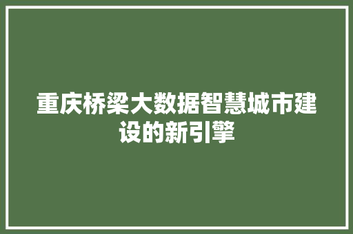 重庆桥梁大数据智慧城市建设的新引擎