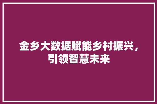 金乡大数据赋能乡村振兴，引领智慧未来