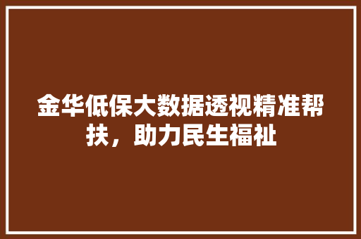 金华低保大数据透视精准帮扶，助力民生福祉