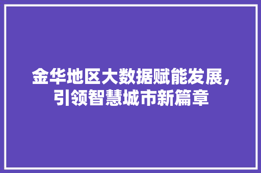 金华地区大数据赋能发展，引领智慧城市新篇章