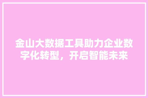 金山大数据工具助力企业数字化转型，开启智能未来