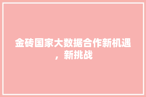 金砖国家大数据合作新机遇，新挑战