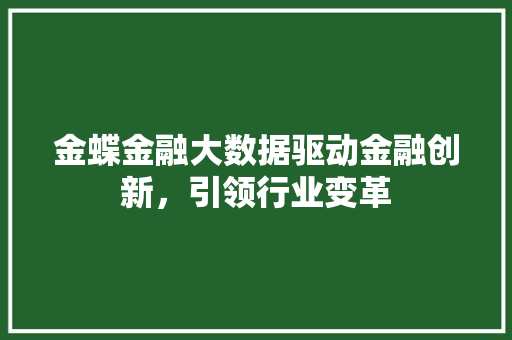 金蝶金融大数据驱动金融创新，引领行业变革