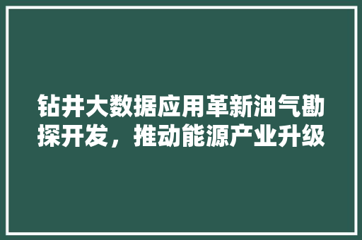 钻井大数据应用革新油气勘探开发，推动能源产业升级