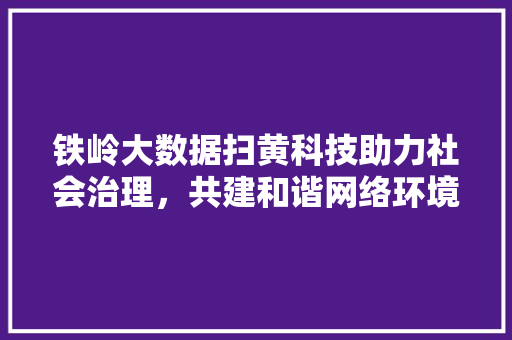 铁岭大数据扫黄科技助力社会治理，共建和谐网络环境