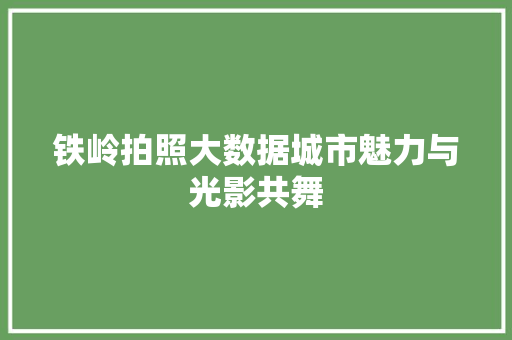 铁岭拍照大数据城市魅力与光影共舞