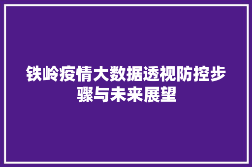 铁岭疫情大数据透视防控步骤与未来展望