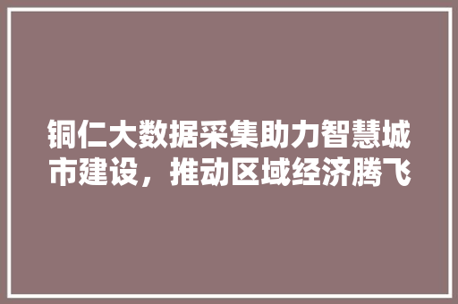 铜仁大数据采集助力智慧城市建设，推动区域经济腾飞