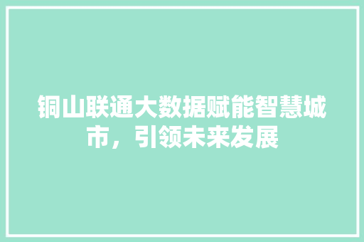 铜山联通大数据赋能智慧城市，引领未来发展