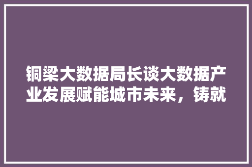 铜梁大数据局长谈大数据产业发展赋能城市未来，铸就智慧新篇