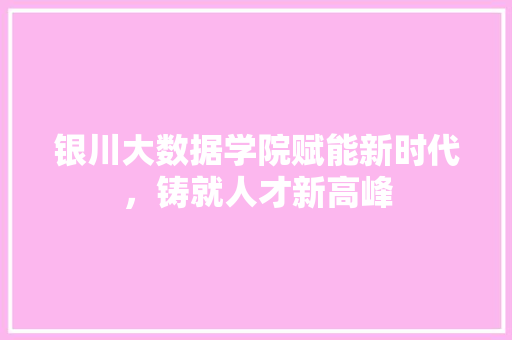 银川大数据学院赋能新时代，铸就人才新高峰