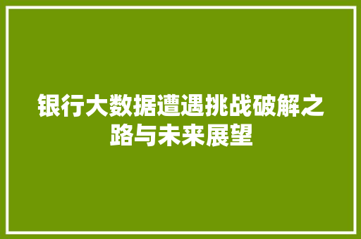 银行大数据遭遇挑战破解之路与未来展望