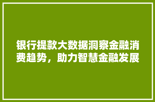 银行提款大数据洞察金融消费趋势，助力智慧金融发展