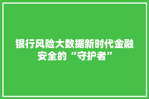 银行风险大数据新时代金融安全的“守护者”