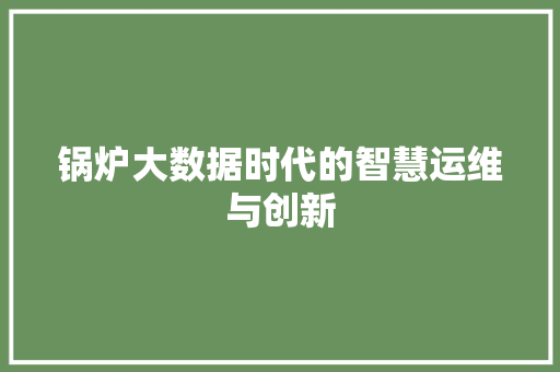 锅炉大数据时代的智慧运维与创新