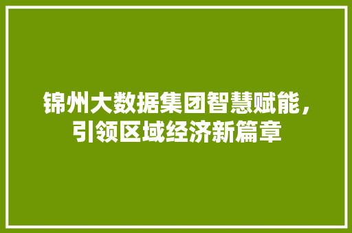 锦州大数据集团智慧赋能，引领区域经济新篇章