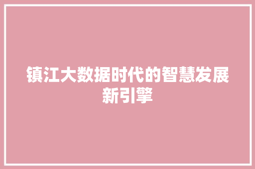 镇江大数据时代的智慧发展新引擎