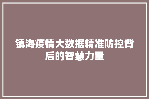 镇海疫情大数据精准防控背后的智慧力量