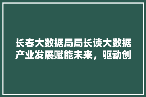 长春大数据局局长谈大数据产业发展赋能未来，驱动创新