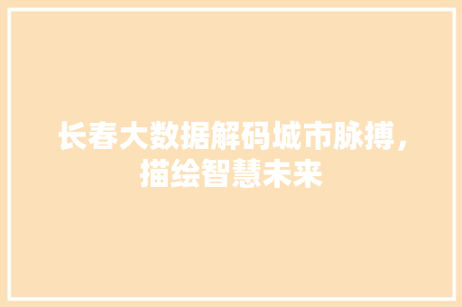 长春大数据解码城市脉搏，描绘智慧未来