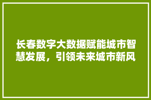 长春数字大数据赋能城市智慧发展，引领未来城市新风尚