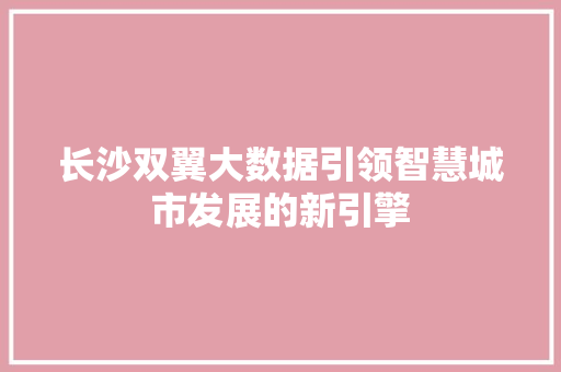 长沙双翼大数据引领智慧城市发展的新引擎