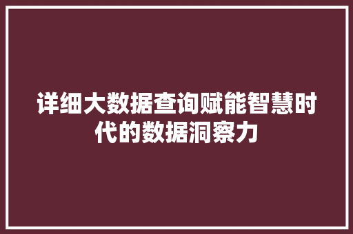 详细大数据查询赋能智慧时代的数据洞察力