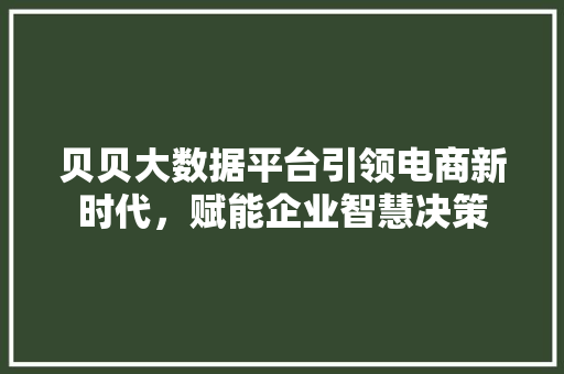 贝贝大数据平台引领电商新时代，赋能企业智慧决策