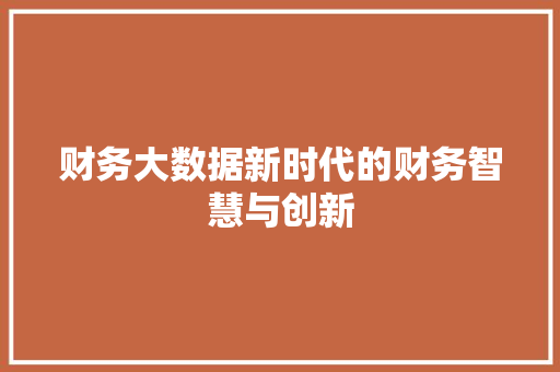 财务大数据新时代的财务智慧与创新