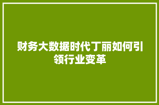 财务大数据时代丁丽如何引领行业变革