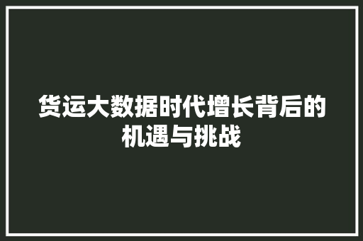 货运大数据时代增长背后的机遇与挑战 服务器/数据库