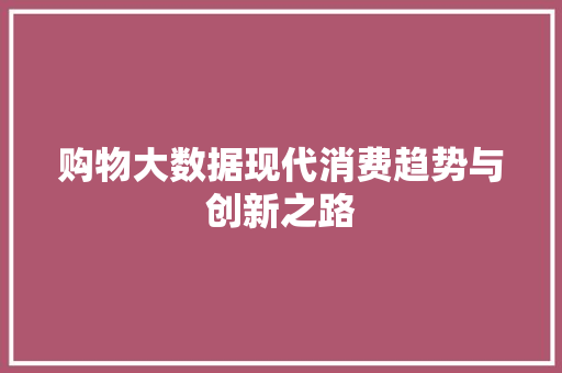 购物大数据现代消费趋势与创新之路 友链在线