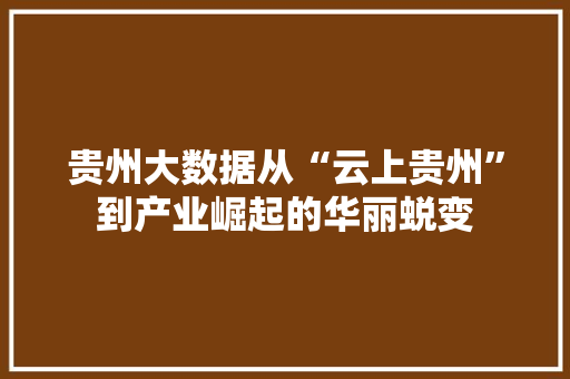 贵州大数据从“云上贵州”到产业崛起的华丽蜕变