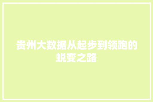 贵州大数据从起步到领跑的蜕变之路